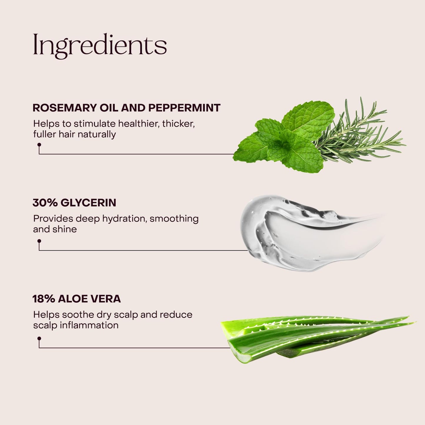 Everist The Haircare Essentials Duo, Includes Shampoo & Deep Conditioner, Repairs Hair, Ideal for Sensitive Scalp, Hydration and Smoothing, Plant-based, Color-safe, 3.4 fl oz Each