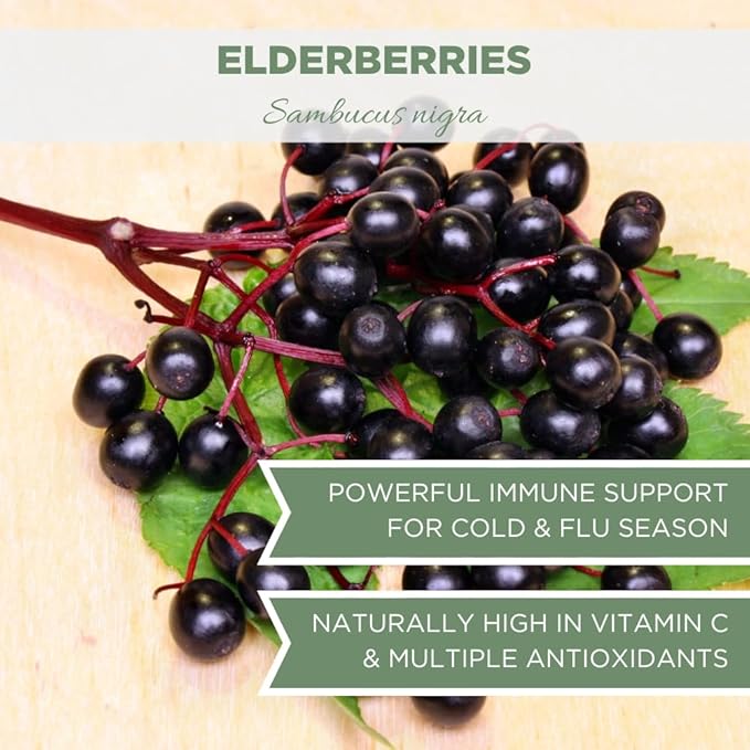 Organic Elderberries 1 lb. (16 oz),