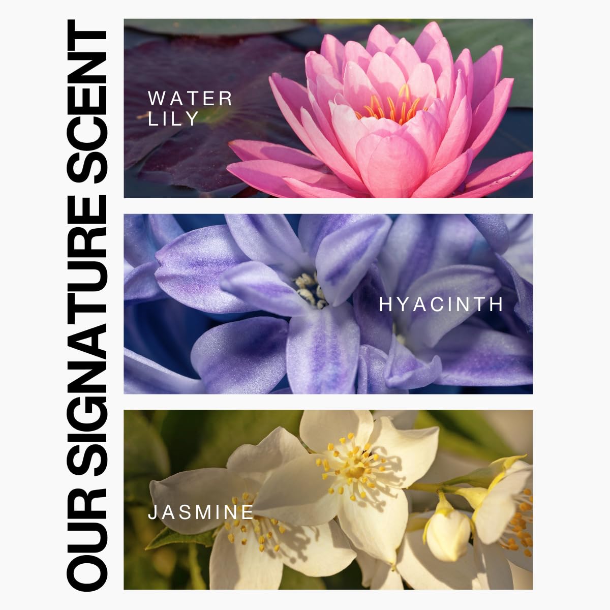 Lasio - Keratin-Infused HYPERSILK Replenishing Keratin Shampoo - 12.34 Fl. Oz - Repair, Restore & Redefine Hair Care Products - Shampoo Sulfate Free