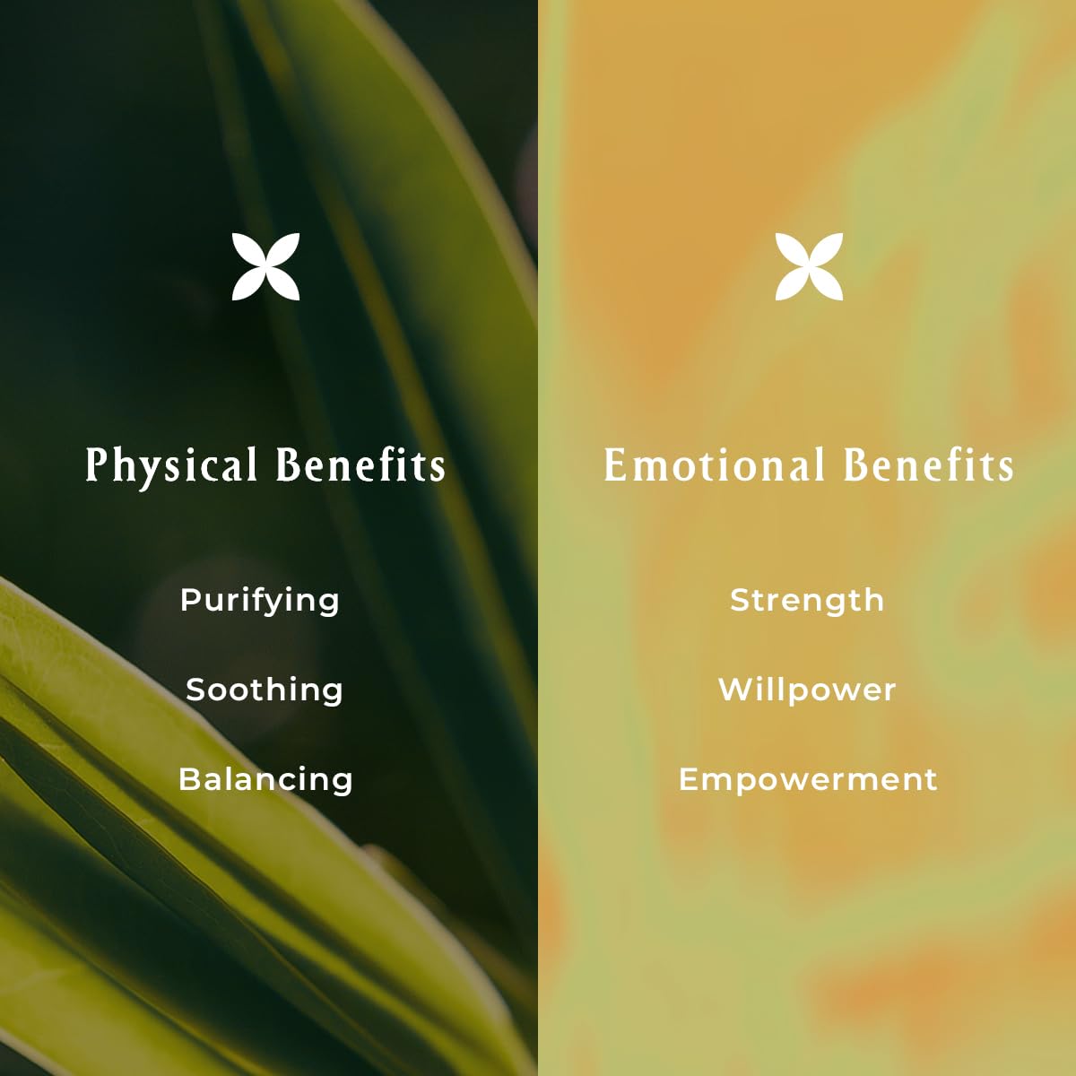 INNA Organic Sheet Mask Set, Anti-Aging & Hydrating, EWG & COSMOS Certified (Pack of 5) | First Pick Discovery Set | Luxury Clean Beauty