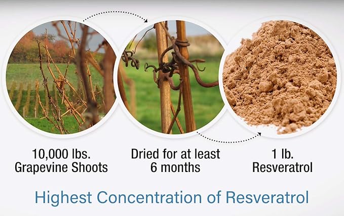 M. Asam Resveratrol Premium NT50 Smoothing Face Mask – Anti-aging face mask skin care with concentrated resveratrol & hyaluronic acid for increased radiance, facial care, 1.69 Fl Oz