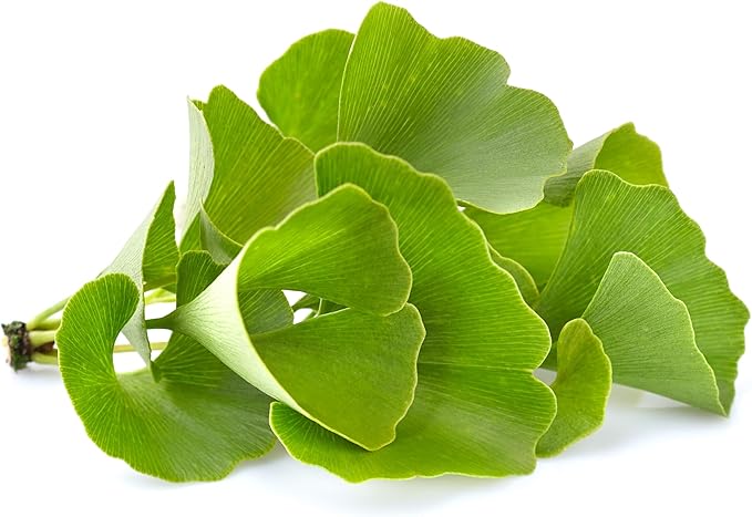 Pure Original Ingredients Ginkgo Biloba Powder (8 oz)