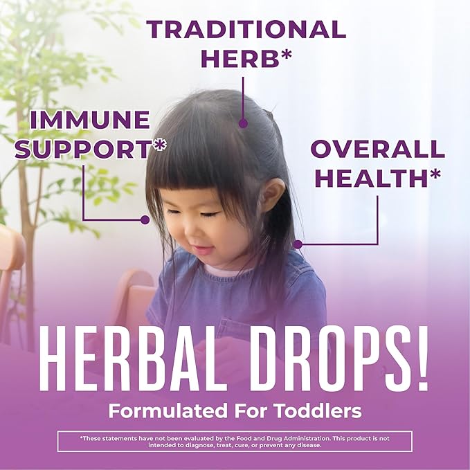 MaryRuth Organics Toddler Elderberry Syrup, USDA 1-3 Years, 1 Fl