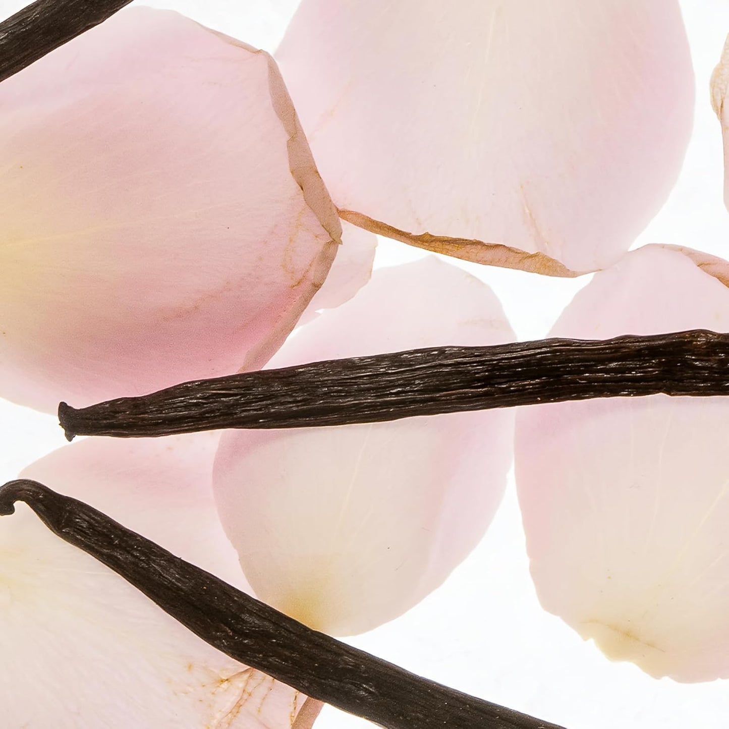 Esas NYC Coquette - Organic Perfume Mist, MADESAFE®–FLIRTY | FLORAL | CREAMY– 0.33 oz Fragrance EDP