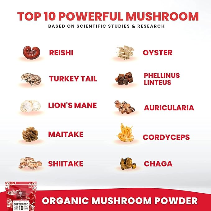 Organic Mushroom Powder Extract -Superfood 10 14x Stronger 100% Pure 60 Grams