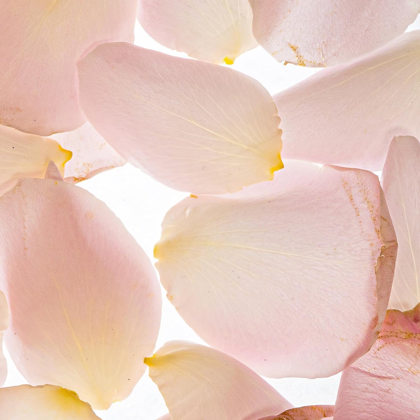 ESAS NYC Rosewood – Organic Perfume Mist, MADESAFE® - FLORAL | WATERY | MUSKY - 0.33 oz Fragrance EDP