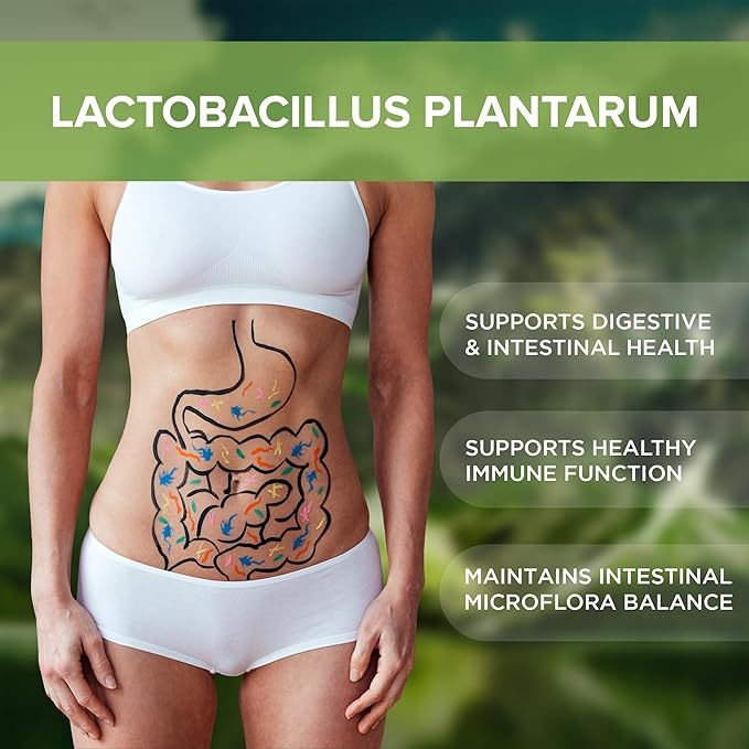 Lactobacillus Plantarum Probiotic Supplement 240 Tablets 3 Billion (240, Lactobacillus