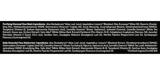 Brickell Men's Daily Essential Face Care Routine II, Purifying Charcoal Face Wash and Daily Essential Face Moisturizer, Natural and Organic, Men's Skin Care Gift Set, Scented