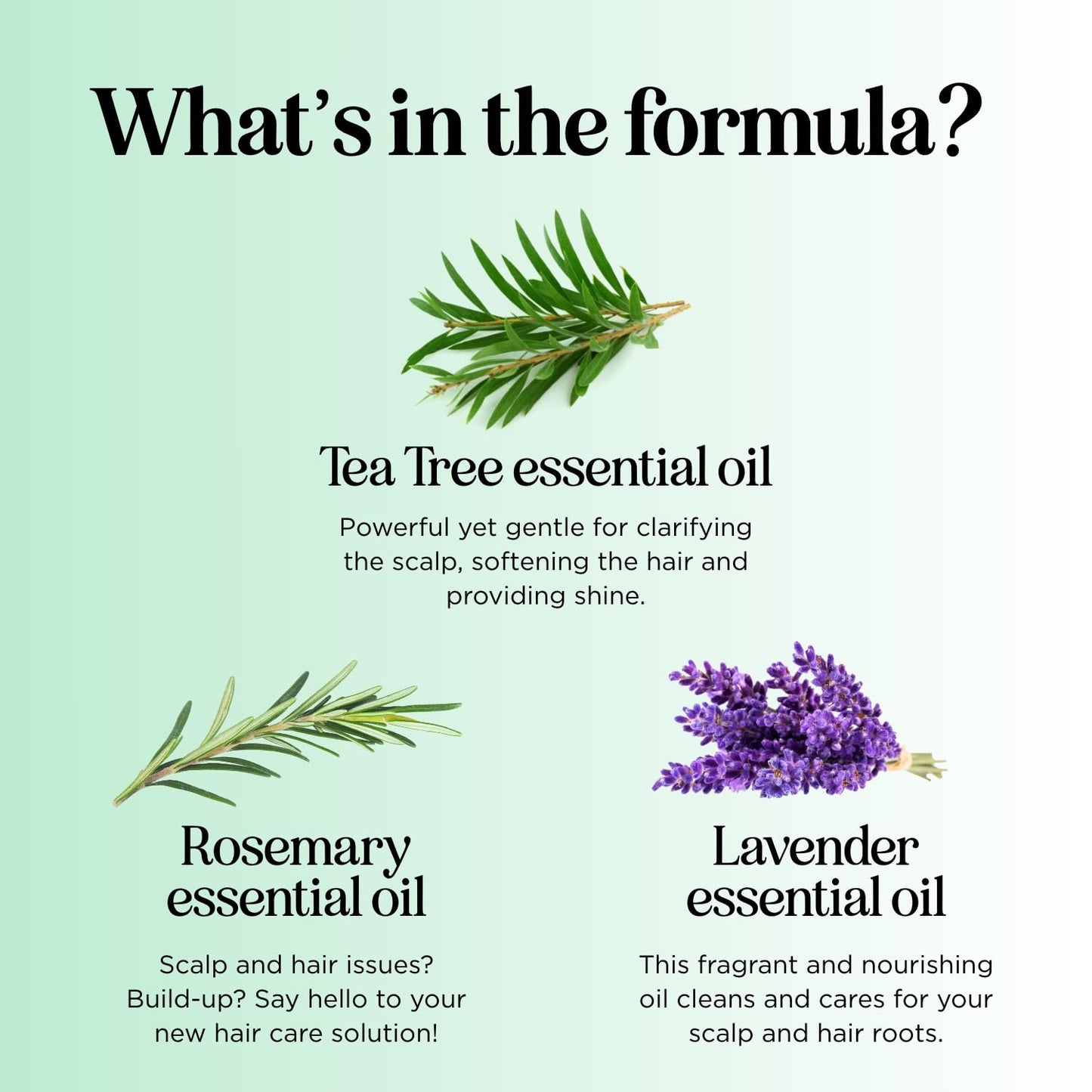 Maple Holistics Clarifying Shampoo for Oily Hair and Scalp - Deep Cleansing Shampoo Build Up Remover with Rosemary Oil - for Greasy Hair & Scalp - Vegan Color Safe Sulfate & Paraben Free (25 Fl Oz)