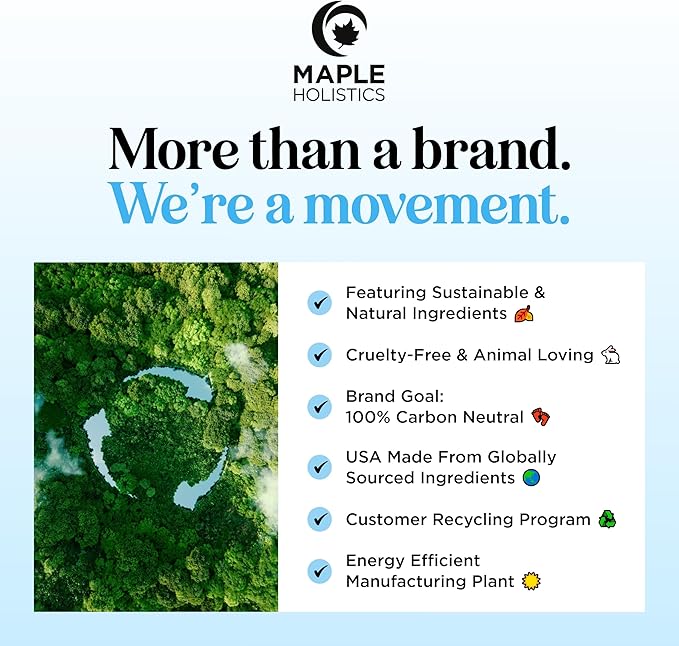 Aromatherapy Essential Oil Blends for Diffuser - Extra Large 100% Pure Diffuser Essential Oil Set with Aromatherapy Oils for Diffusers DIYs and More - Premium Essential Oil Starter Kit (6 Pack)