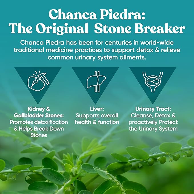Chanca Piedra Stone Breaker – Natural Dissolver, Kidney Cleanse & Gallbladder Supplement – Detoxify Urinary Tract, Flush Impurities, Clear System – 120 Vegan Soft Capsules