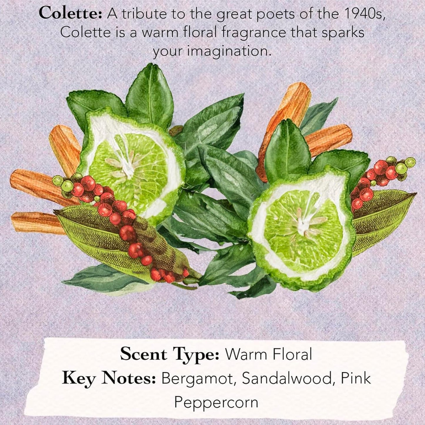 Tocca Florence Women's Perfume (50ml) + Mini Discovery Set of 8 Travel Size Perfumes