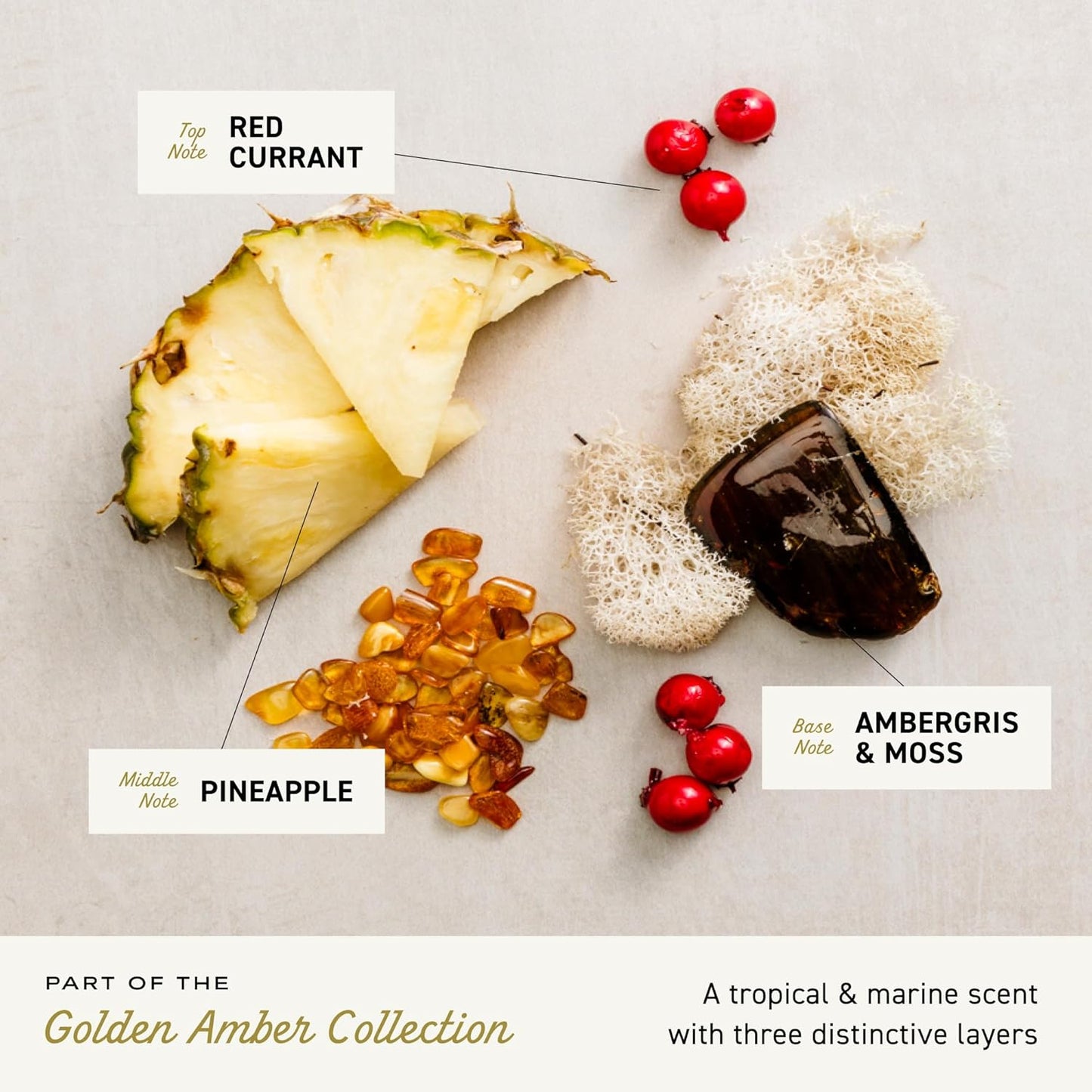 Cremo Cologne For Men - Golden Amber Mens Cologne Spray, A Combination of Red Currant, Pineapple, Ambergris and Moss, Multi-Layered Signature Men's Fragrances, 3.4 Fl Oz