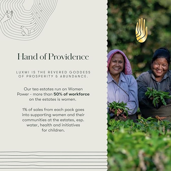 Luxmi Estates - Valerian Dream - Organic Valerian Root Tea for Sleep - Loose Leaf - 50g (25 Cups) | with Valerian Root, Chamomile & Lavender | Perfect Wellness Sleep Tea