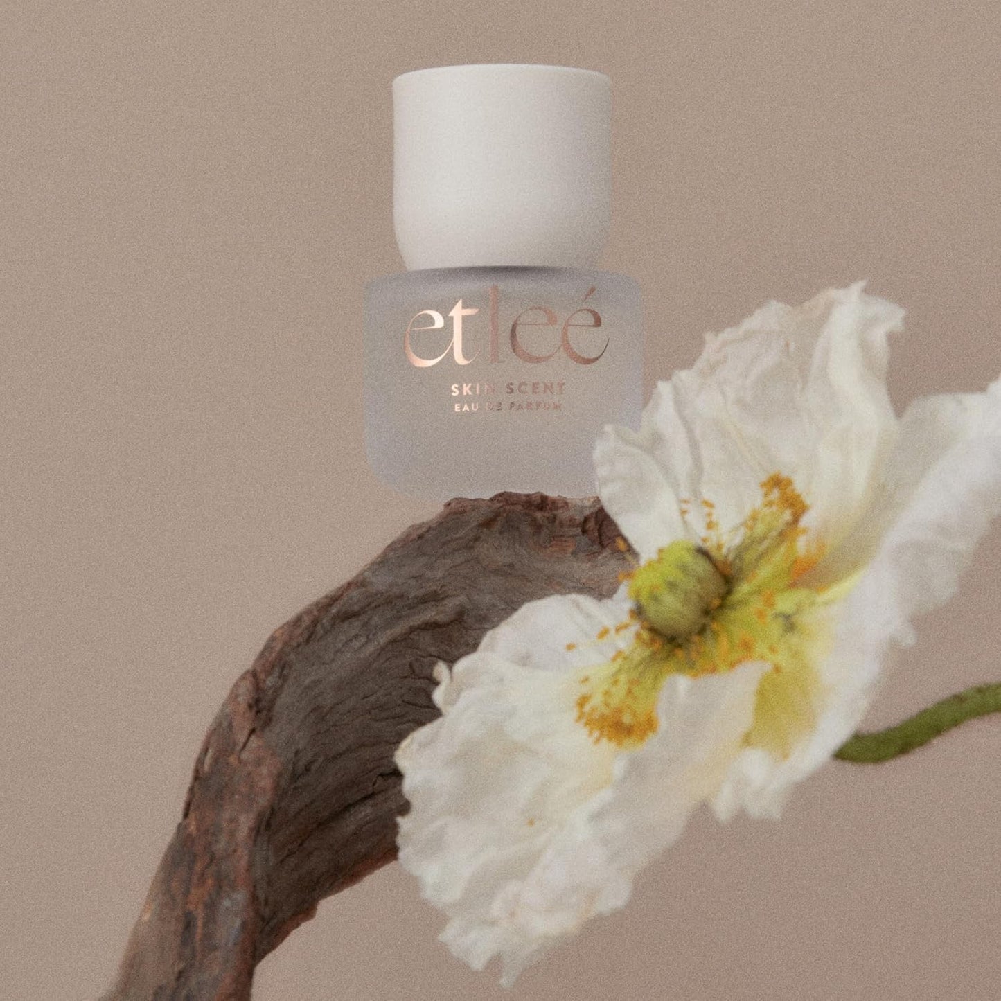 Cotton Powder Eau de Parfum 0.34oz, Aldehydic Musk Long Lasting Perfume With Sandalwood, Black Pepper, Orchid, Lily & Rose, Layerable Luxury Fragrance for Women & Men for Everyday Wear