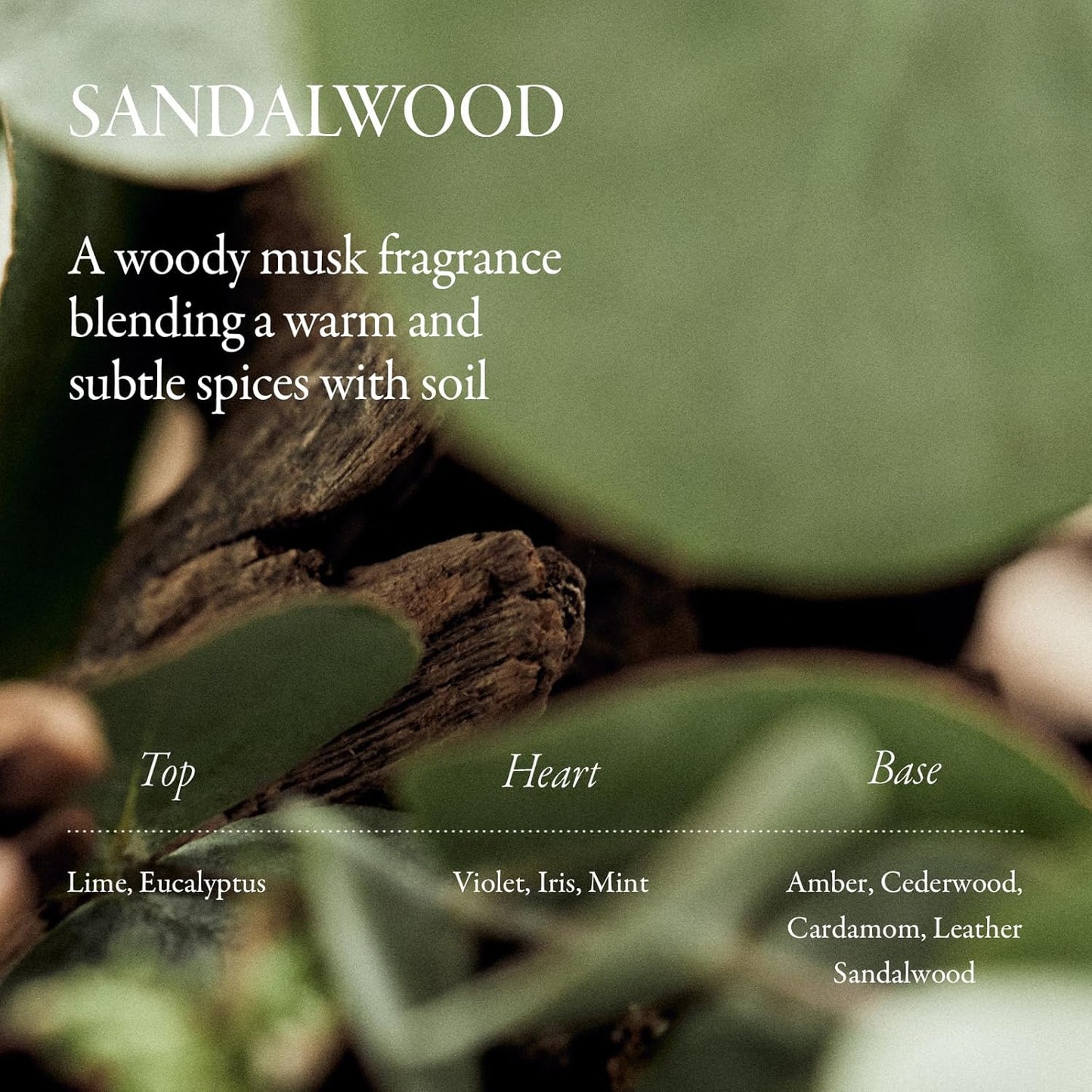 Sandalwood Intensive Perfume Hair Oil 1.35 Fl Oz, 40MLㅣHeat ProtectionㅣAnti-frizzㅣSplit end repairㅣ For all types