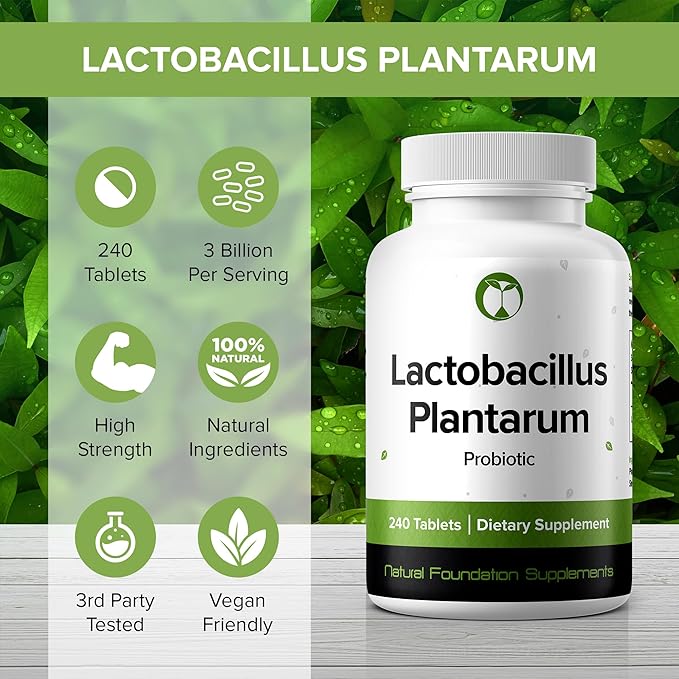 Lactobacillus Plantarum Probiotic Supplement 240 Tablets 3 Billion (240, Lactobacillus