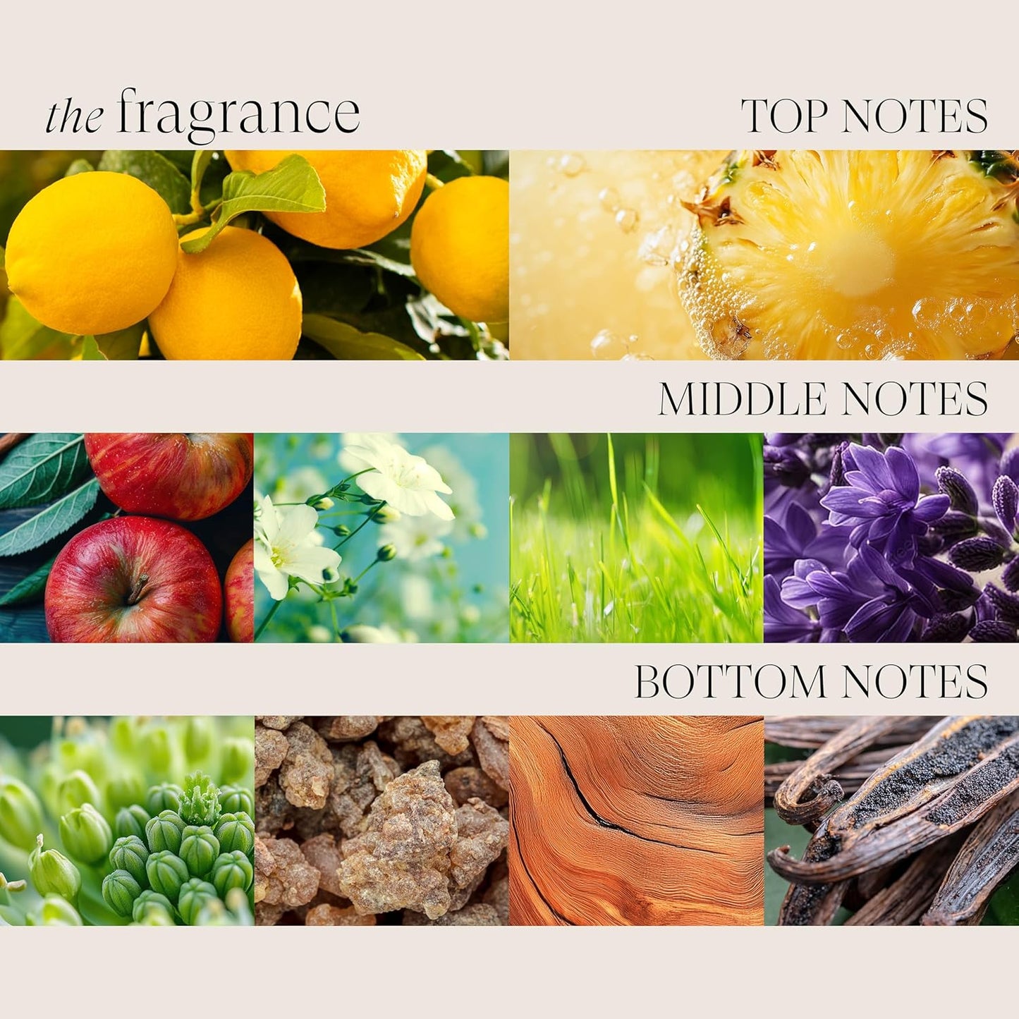 L'ANZA Healing Colorcare Shampoo, Color-Safe Repairing Cleanse for Dry, Damaged or Treated Hair, Anti-Fade Formula Smooths, Moisturizes, Adds Vibrance & Shine, Sulfate Free (10.1 Fl Oz)