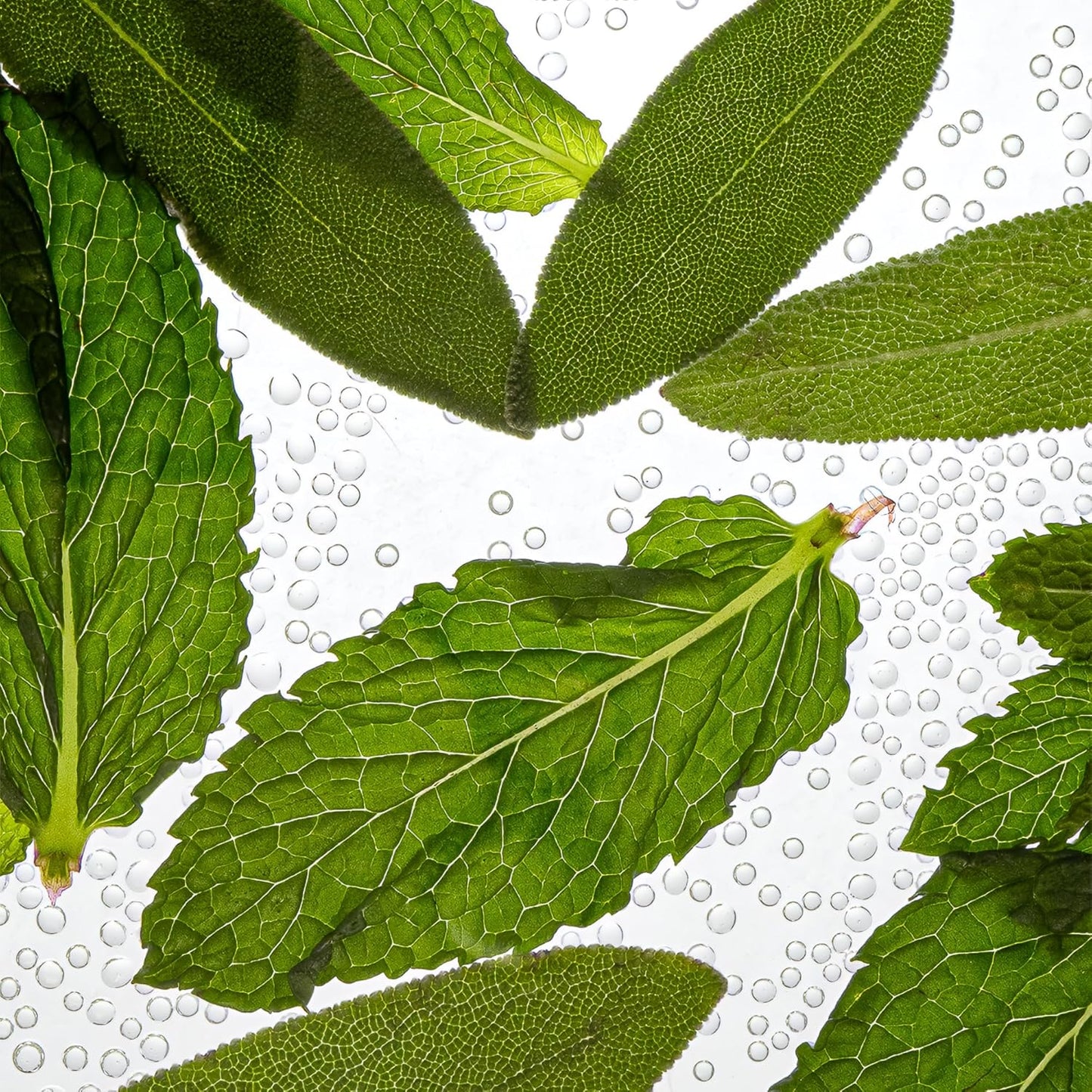 ESAS NYC Minerale – Organic Perfume Mist, MADESAFE® – FRESH | WATERY | GREEN – 0.33 oz Fragrance EDP