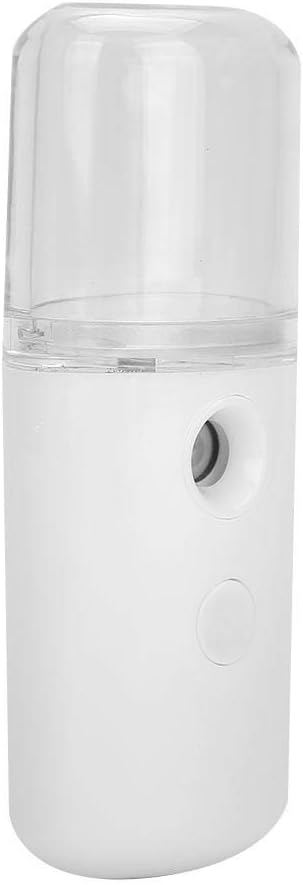 30ml Mini Nano Facial Mister Sprayer, USB Handy Cool Face Care Mist Sprayer Steamer for Hydrating Moisturizing (White)