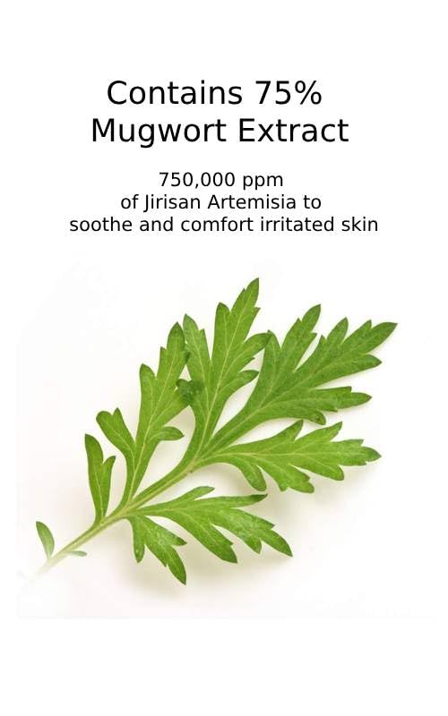 CHARMZONE Mugwort Serum The Original 1.69oz – Calming & Hydrating Serum for Healthy, Radiant Skin