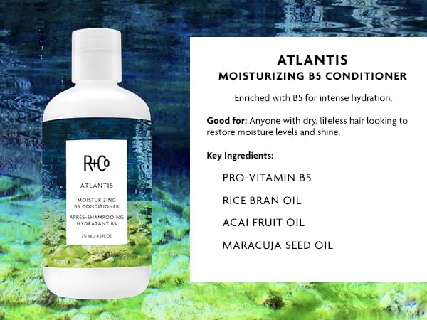 R+Co Atlantis Moisturizing B5 Shampoo & Conditioner Set + Deluxe Sample (0.5oz) | Deep Hydration & Repair for Dry Hair | Vegan + Cruelty-Free | 8.5oz (Pack of 2)
