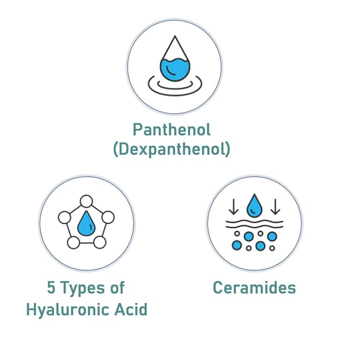 Atomy Skin Care System The Fame Nutrition Cream 50ml x 2 Set - Anti Aging Wrinkle Korea Cosmetic 애터미