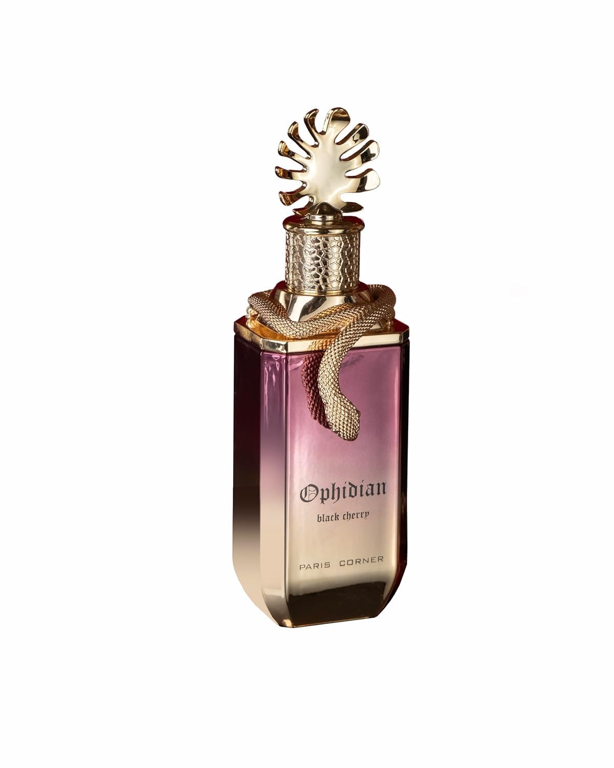 Paris Corner Ophidian Black Cherry EDP Unisex Eau de Parfum Fragrances Scent Unisex 3.4 Fl Oz Perfumes | Long Lasting Fruity Woody Perfume with Burning Cherry, Raspberry & Tonka Bean