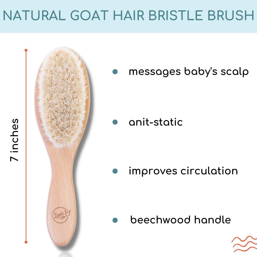 LANE & CO. Hair Gel for Kids with Goat-Hair Brush & Hard-Bristle Hairbrush- Plant-Based Styling Paste for Baby, Toddler - Natural, Organic, Child-Safe Formula with Shea & Cocoa Butter, Coconut Oil