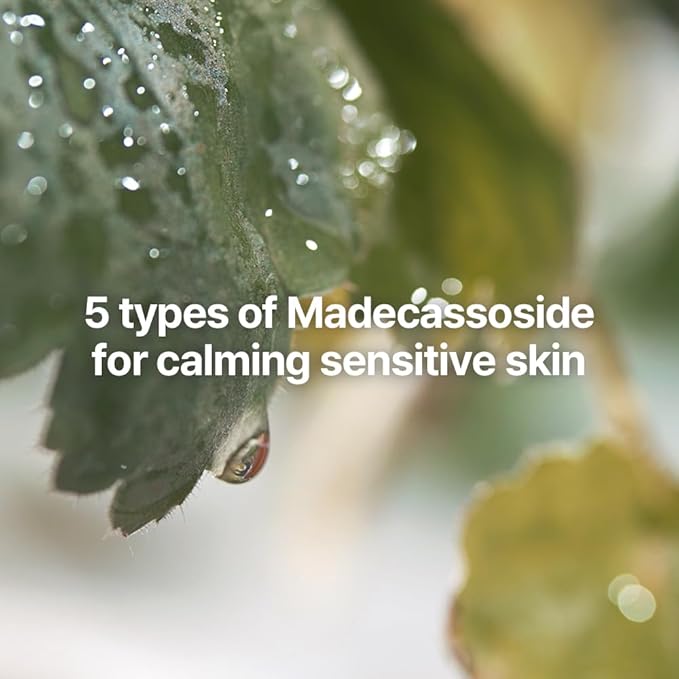 Pyunkang Yul Calming Line Gift Box Set - Korean Facial Skin Care Essential for Daily Moisturizing, Safe on Acne Prone & Sensitive Skin, Vegan & Cruelty Free