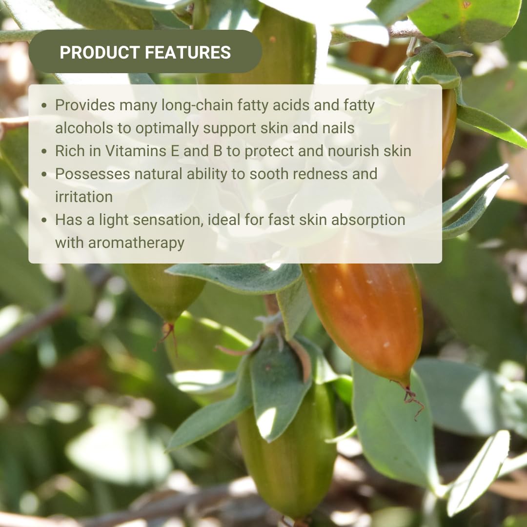 Jojoba Oil - Direct from EIR Oils' Farm in Israel - 100% Pure Carrier Oil for Hair, Face, and Skin - Hand-Picked, Cold-Pressed Carrier Oil (1 Gallon)