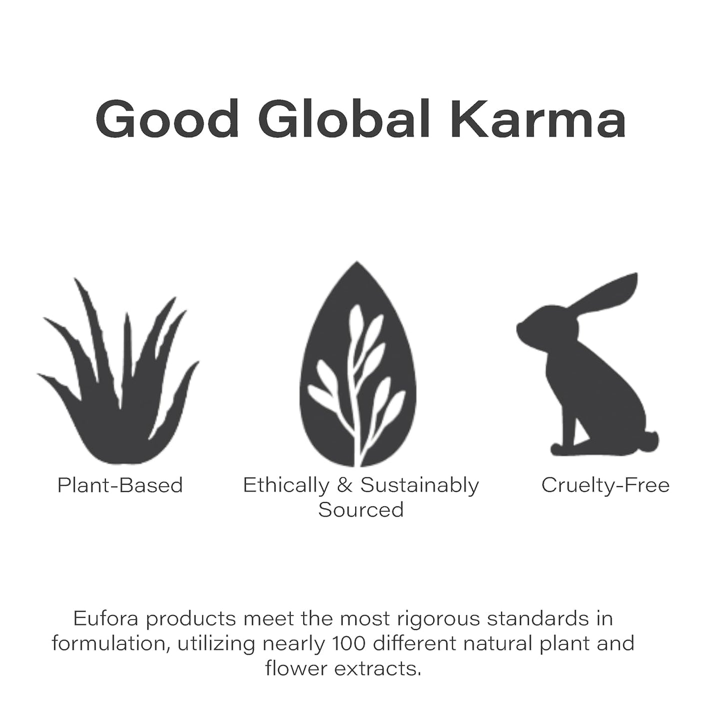 Eufora Elevate Firm Workable Finishing Spray, 10 Oz