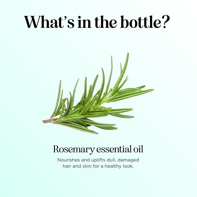 Pure Rosemary Essential Oil Bulk Size - Undiluted Rosemary Oil for Hair Skin and Nails and Refreshing Aromatherapy Oil for Diffusers - Cleansing Rosemary Essential Oil for Dry Scalp Care 8oz