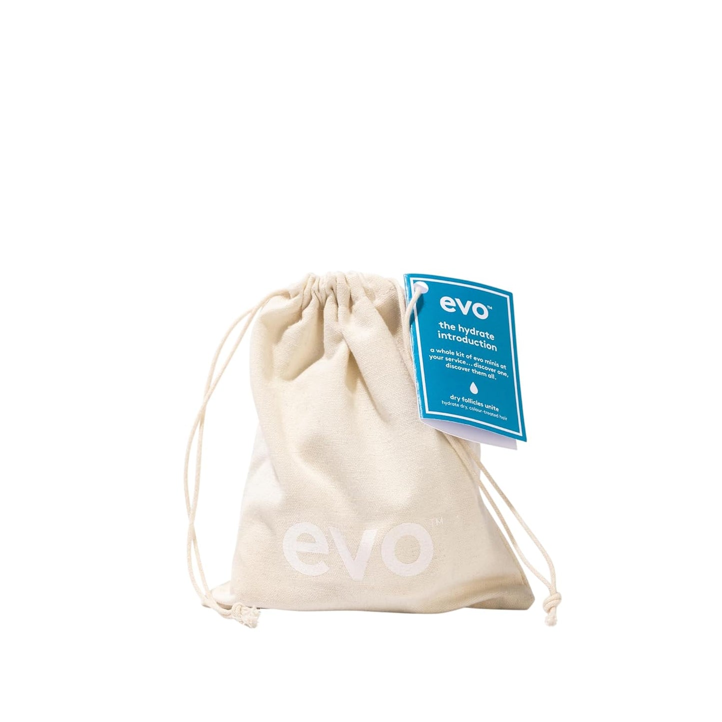 Evo The Hydrate Introduction Haircare Gift Set - Therapist Hydrating Shampoo & Conditioner, Head Mistress Cuticle Sealer and The Great Hydrator Moisture Mask