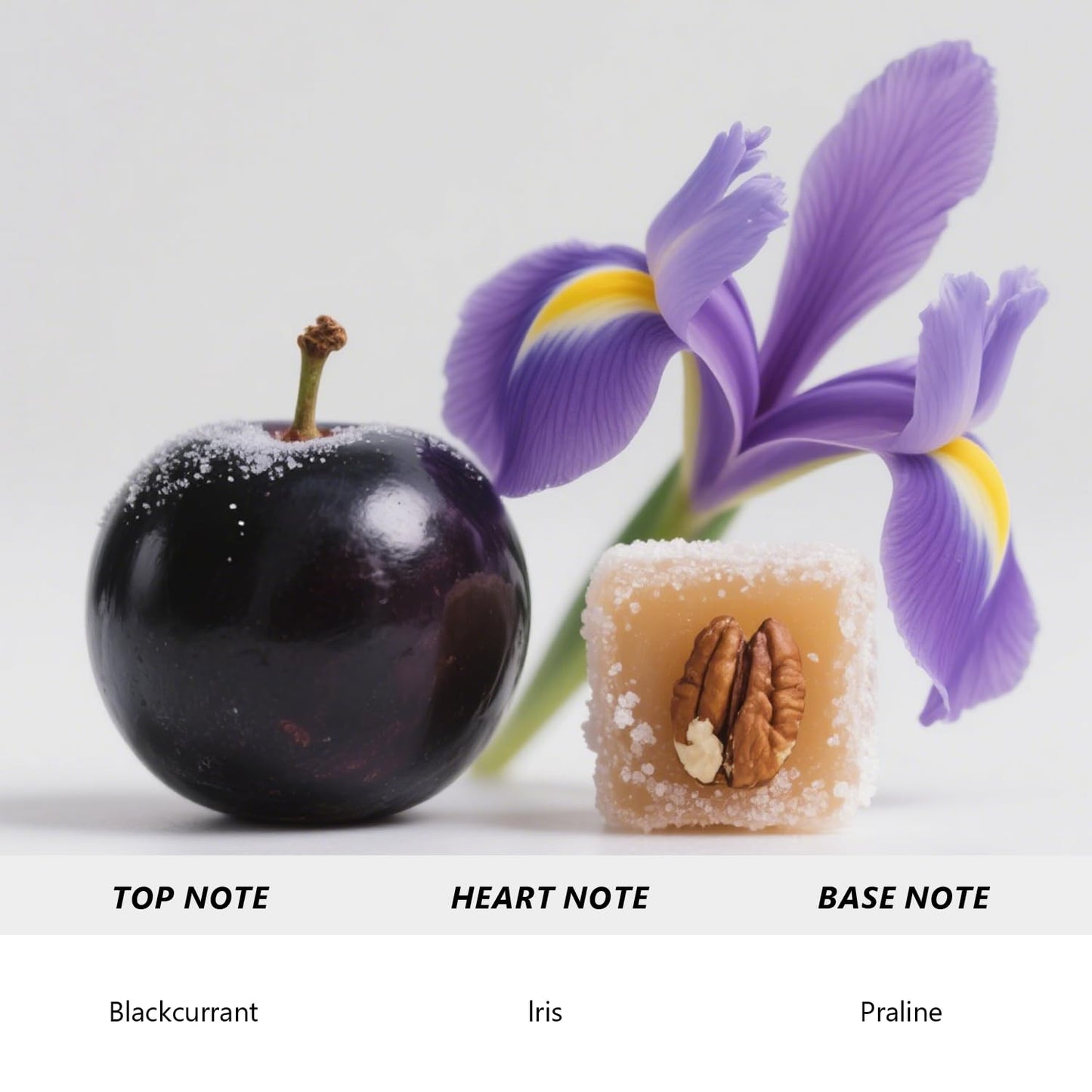 HoogaLife Pheromones Perfumes for Women,Inspired by Lan/côme's La Vie E/st Belle. Sweet, Blackcurrant, Iris, Praline, Travel Size Perfume Oil, 0.34fl.oz/10ml, Made in USA - LA VIE EN BELLE