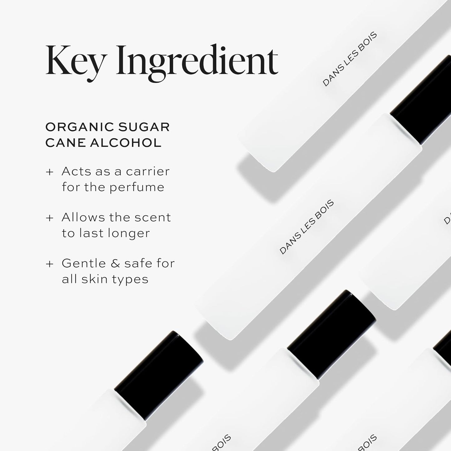 Dime Beauty Perfume Dans Les Bois, 0.34 oz / 10 ml - Travel Fragrance Spray, Feminine and Bold Scent, Hypoallergenic, Clean Perfume, Eau de Toilette For Women