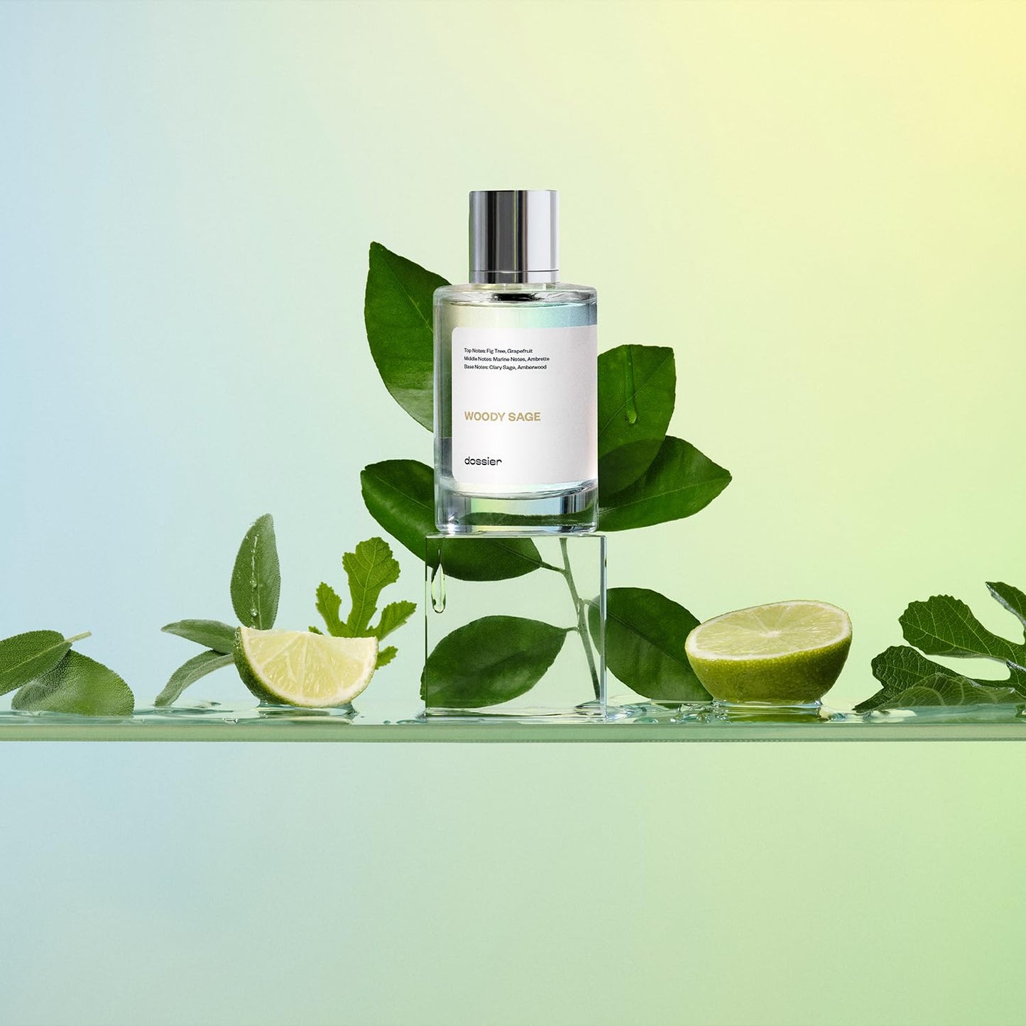 Dossier - Woody Sage - Eau de Parfum - Inspired by J.Malone's Wood Sage & Sea Salt - Perfume Luxury - Pure Infused - Paraben-Free - Vegan - For Women Men Unisex - Fragrance 3.4 Fl oz (Spray 100ml)