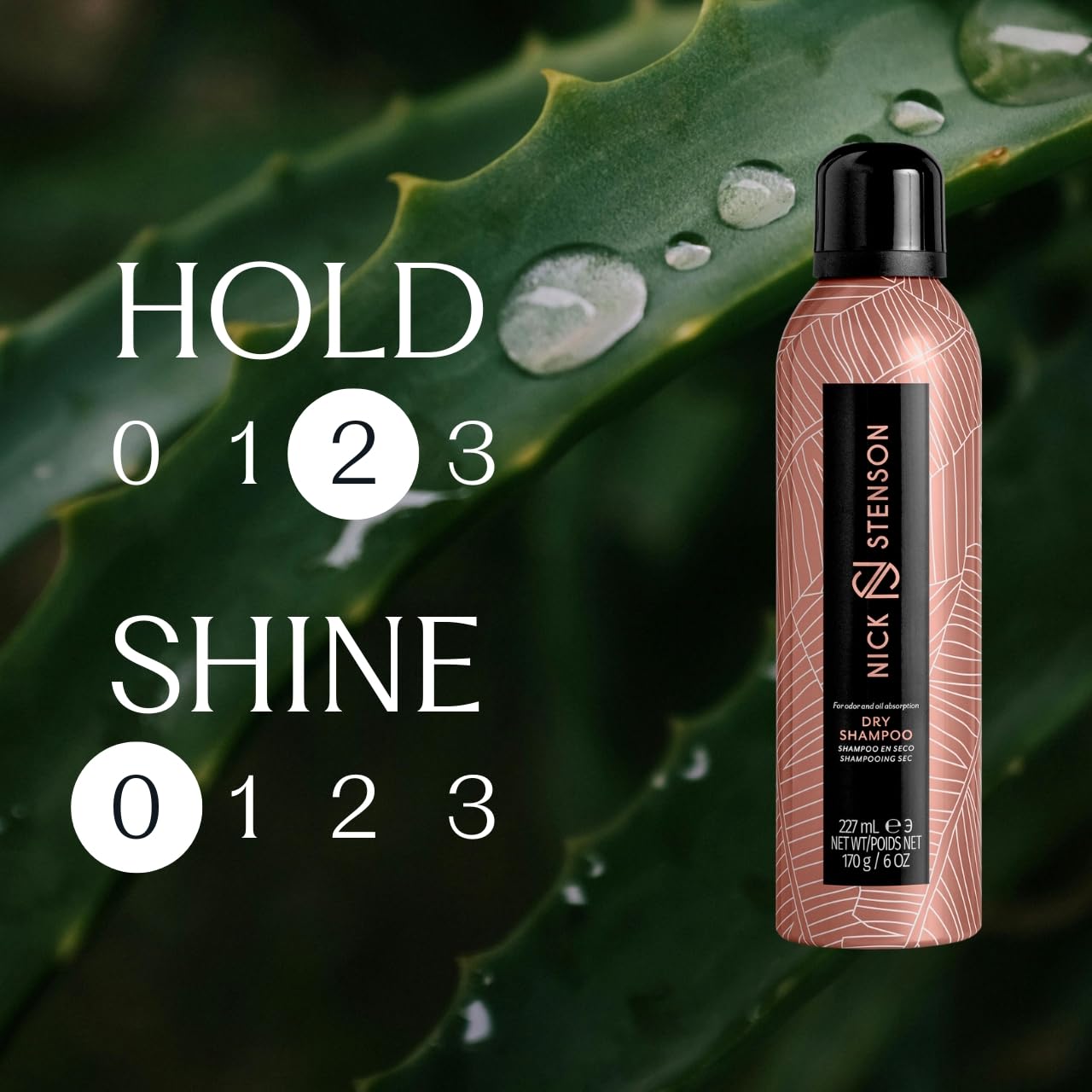 Dry Shampoo, Cleanses & Volumizes the Hair While Repairing, Protecting & Enhancing - Absorbs Oil & Odor, Repairs & Refreshes – Cruelty Free, Color-Safe Vegan, BPA-Free – 6 oz