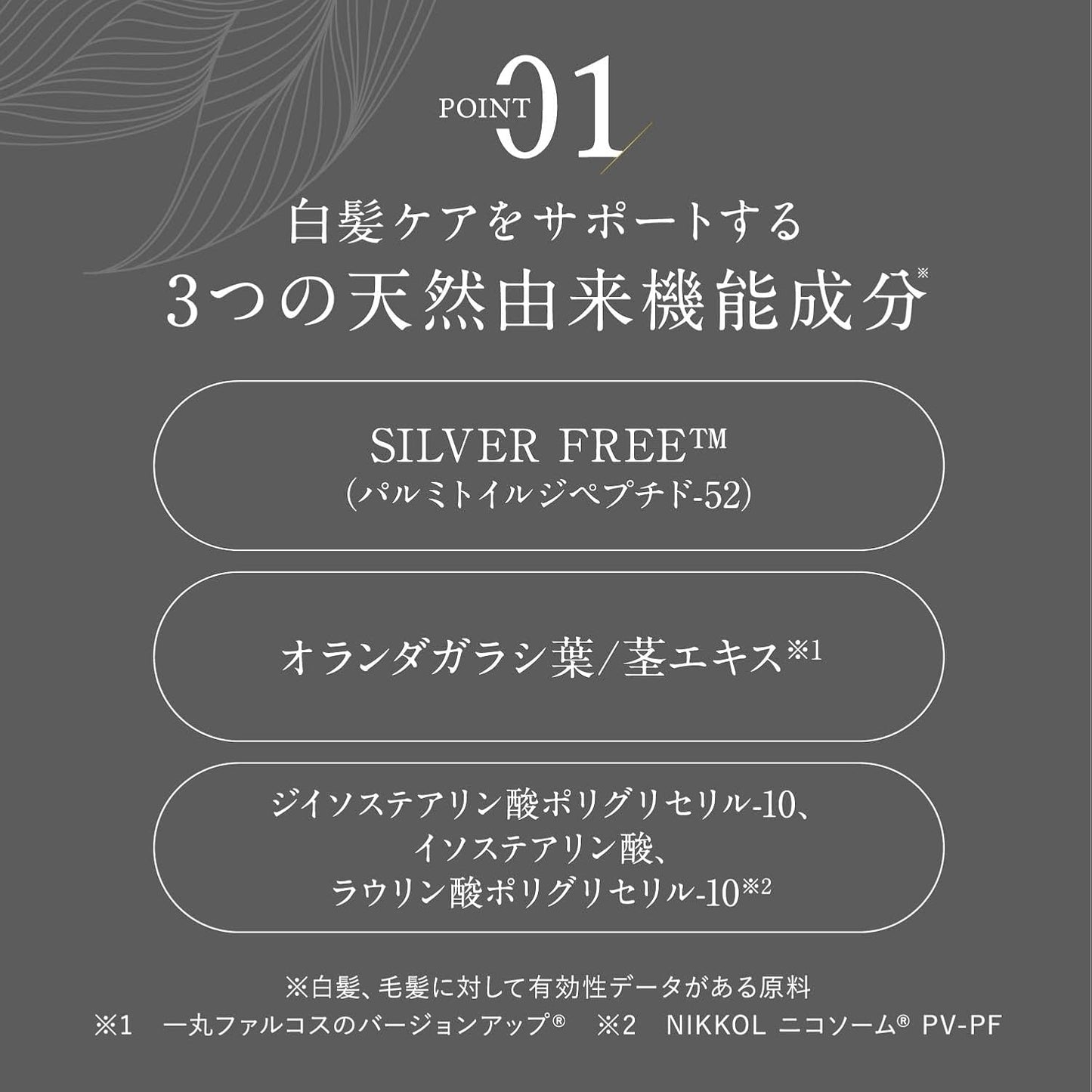 Kiwabi Root Vanish Anti Gray Hair Serum – Lightweight Daily Scalp Serum to Support Repigmentation – Hair Serums for Women & Men with Biomimetic Peptide, Ginseng, B12 – No Sulfates, No Parabens (30ml)