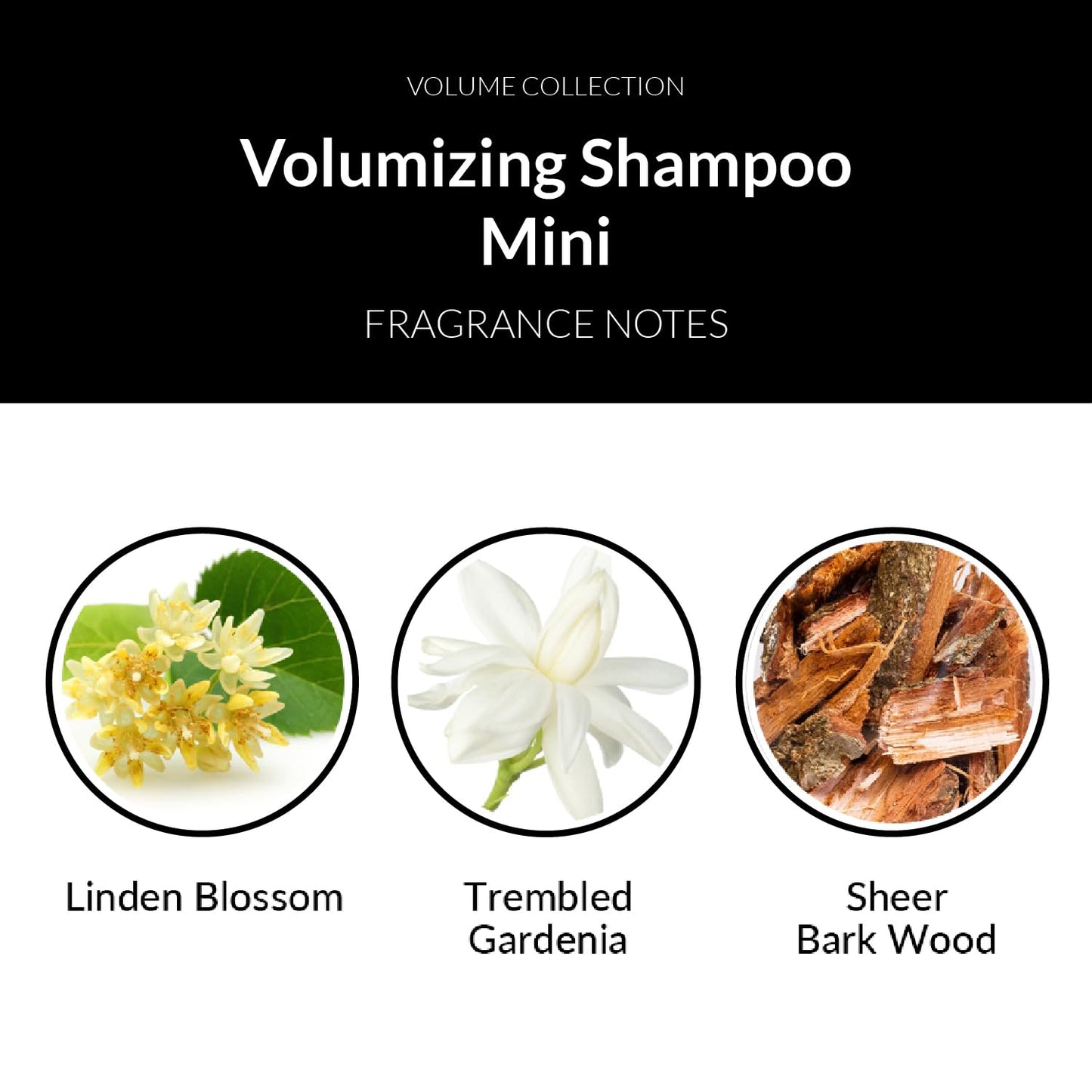 Number 4 Mini Volumizing Shampoo, Volumizing Hair Shampoo. Lightweight, Moisturizing, Color Protecting, Travel Size, 1.5 oz