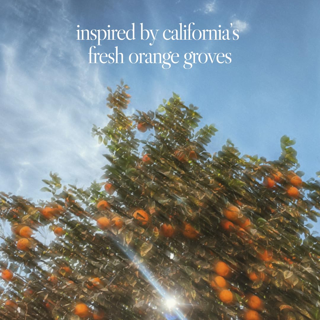 Noteworthy n,307 Sunlit Grove Eau De Parfum – Mandarin, Basil, Sandalwood | Sophisticated, Warm Fragrance for Any Occasion | Long-lasting Unisex Perfume for Women & Men (100ml)