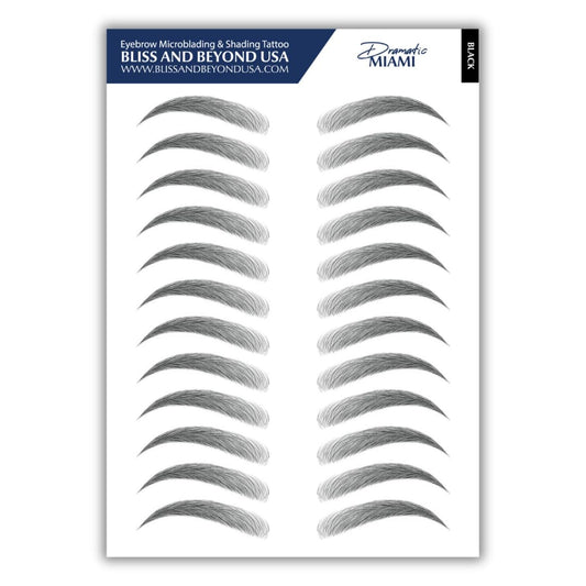 Bliss and Beyond USA | Microblading & Shading Tattoo | A combination of hair stoke and powdered brows | Non-toxic | Vegan friendly (Dramatic Miami - Black)