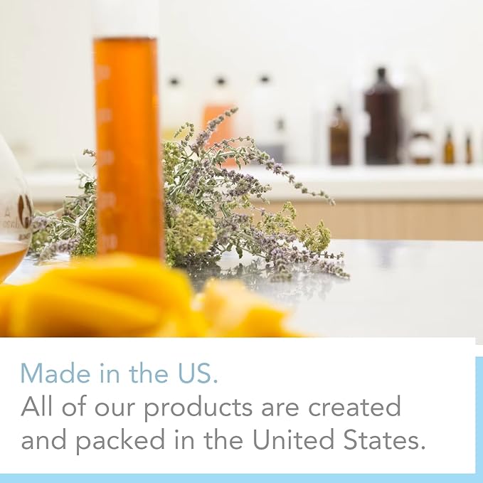 2oz Scented Home Fragrance Essential Oil by Expressive Scent (Champagne)