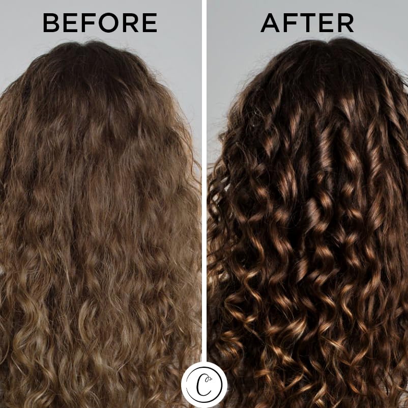 Controlled Chaos Leave-In Conditioner Spray– Anti Frizz Hair Detangler Spray for Dry Damaged Hair with Natural Watermelon & Sunflower Seed Oil & Honey – Non-Greasy, Gluten, Sulfate & Paraben Free