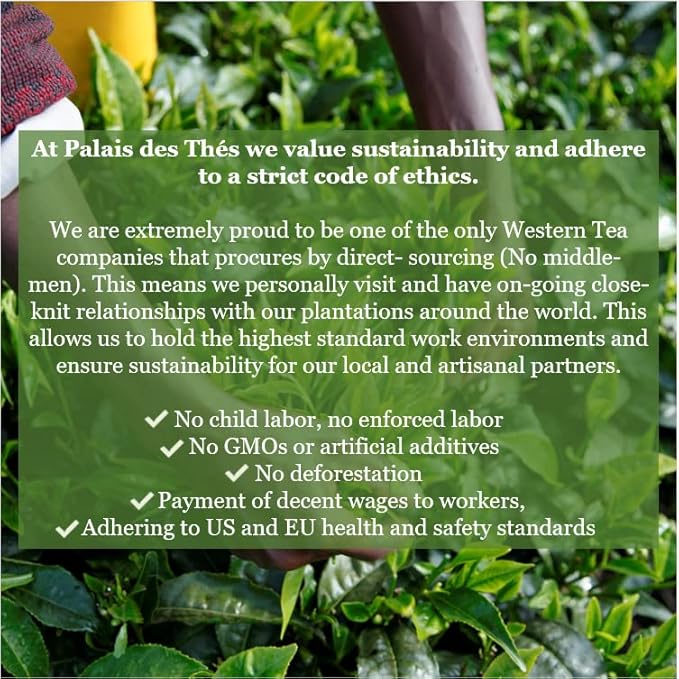 Palais des Thés - Organic Scandinavian Wellness Caffeine-Free Herbal Tea for Natural Defenses with Birch, Sea Buckthorn, Cranberry, and Bilberry - 3.5oz Loose Leaf Metal Gift Tin