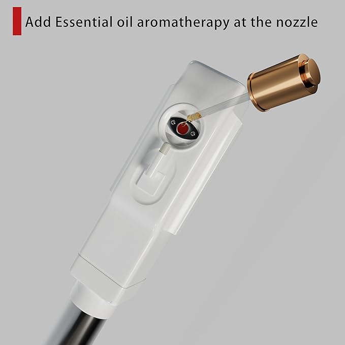 Professional Nano Ionic Facial Steamer for Esthetician, Spa or Salon