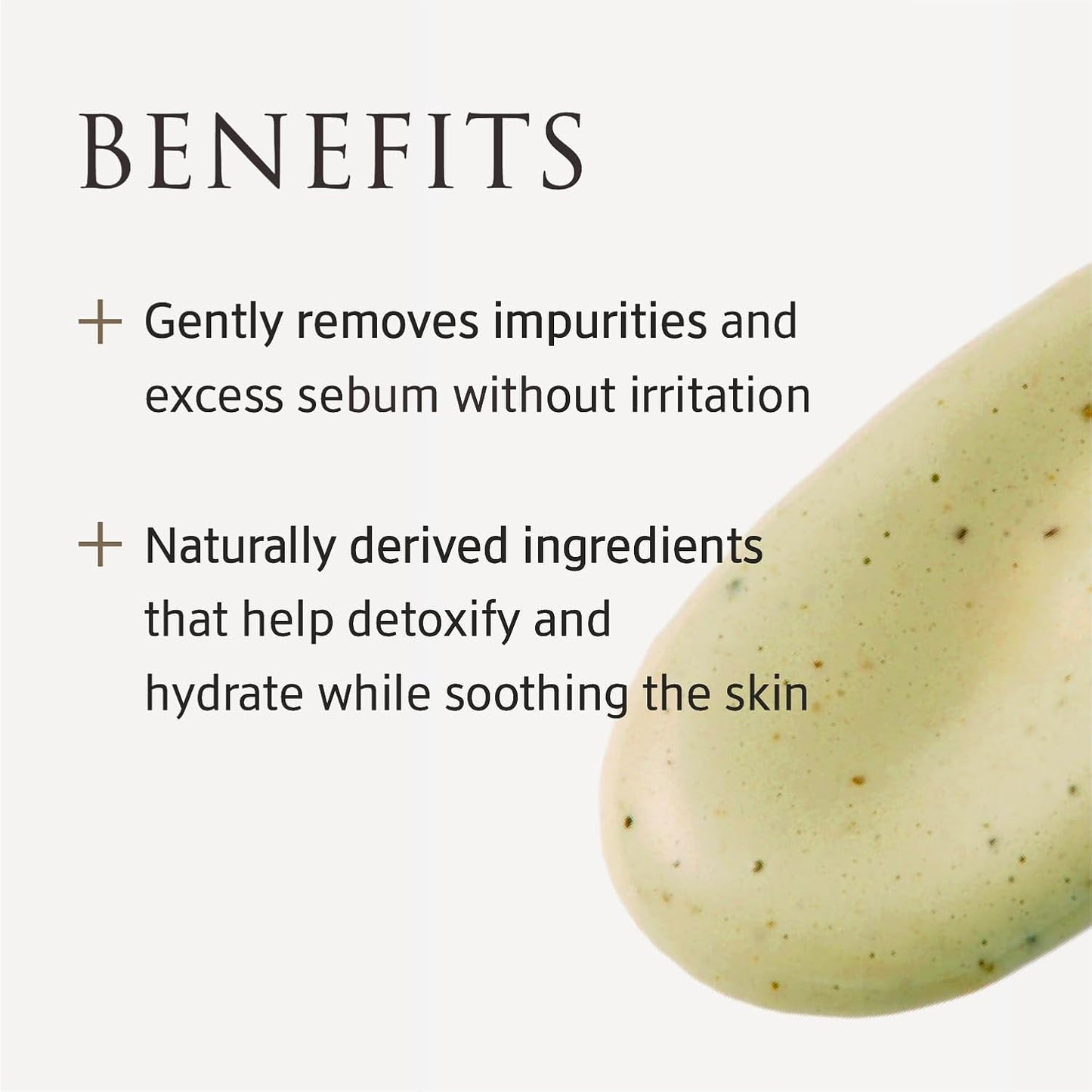 Whole Plant Effect Foam Cleanser (4.23 oz) - Gentle Creamy Matcha Foam Cleanser. Gently Removes and Cleanses. Hydrate and Soothe Skin.