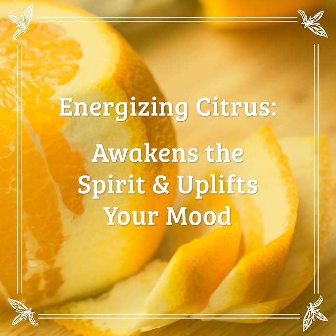 Pharmacopia Citrus Body Lotion - Hydrating Natural Moisturizer with Aromatherapy Benefits - Cruelty-Free Vegan Skin Care - Shea Butter, Aloe Vera, and Jojoba Oil - Lotion for Dry Skin, 16 oz