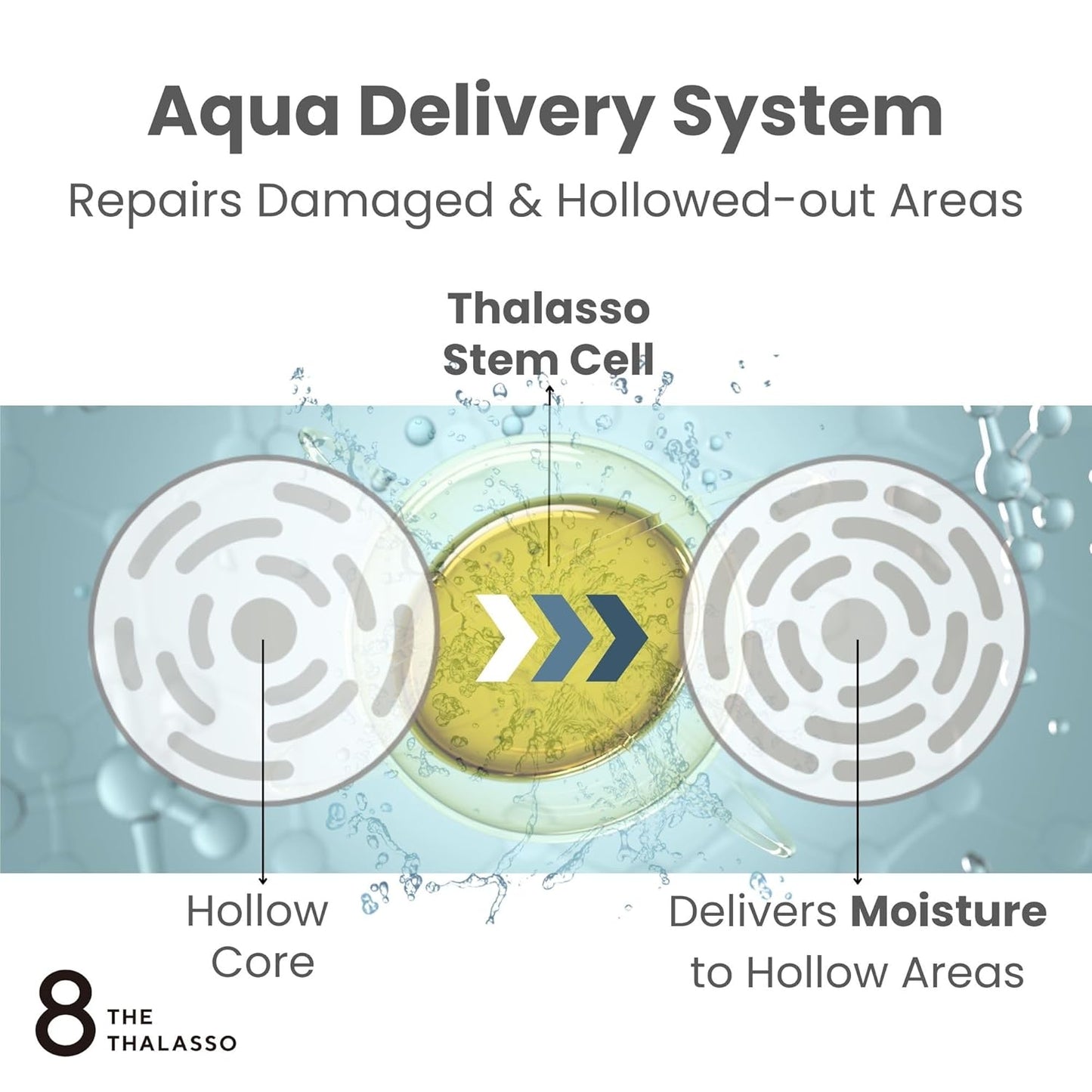 8 THE THALASSO Hydrating Hair Styling Clay Wax for Semi-Matte Finish, Non-Sticky Hair Wax from Japan with Natural Oils & Deep Ocean Water, SEMIWET & NATURAL, Aqua White Floral Scent, 1.41 Oz / 40g