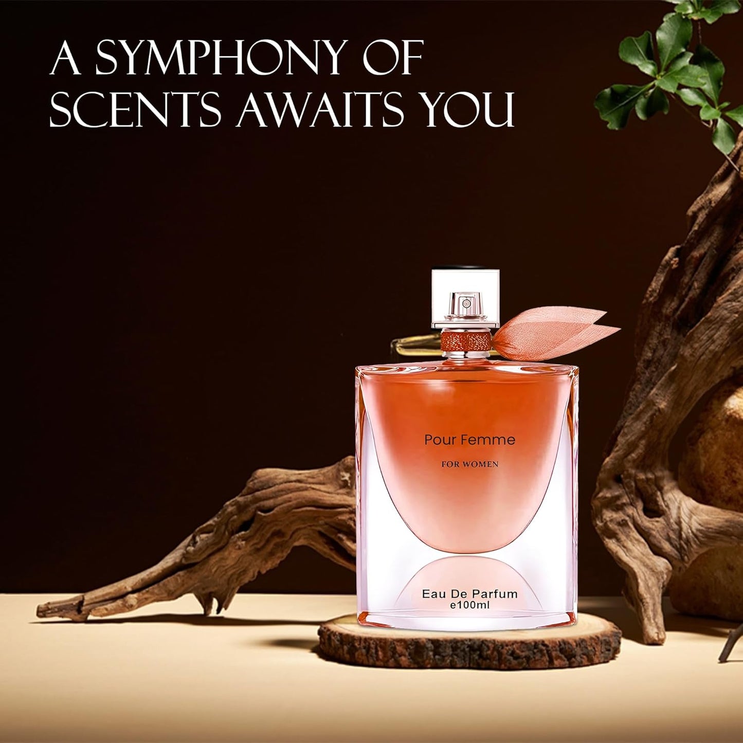 Mon Amour Bella Passione for Women Perfume Eau de Parfum Natural Spray Elegant Scent Fragrance for all Skin Types 3.3 Fluid Ounce(2 Pack)